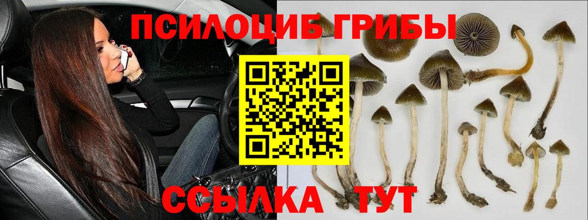 Кубинка  Галлюциногенные грибы Cubensis  Вход с VPN 