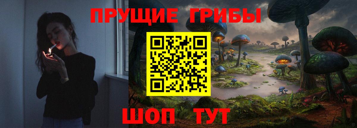 Псилоцибиновые грибы мицелий Кубинка